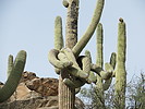 photo thumbnail #14