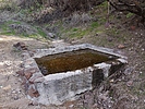 2022-01-11 :3: Limestone Trail Loop :: LosDosSloFolks