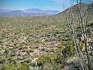 photo thumbnail #13