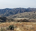 photo thumbnail #10