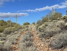 photo thumbnail #1