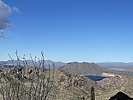 photo thumbnail #4