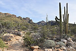 photo thumbnail #3