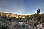 photo thumbnail #9