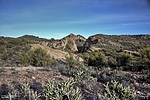 photo thumbnail #11