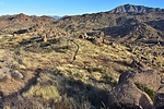 photo thumbnail #1