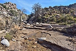 photo thumbnail #4