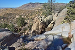 photo thumbnail #12