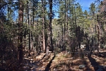photo thumbnail #14
