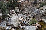 photo thumbnail #14