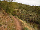 photo thumbnail #9