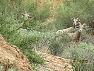 photo thumbnail #15