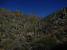 photo thumbnail #9