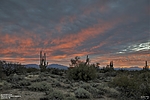 photo thumbnail #3