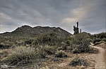 photo thumbnail #4