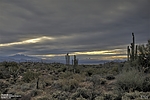 photo thumbnail #6