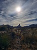 photo thumbnail #2