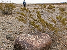 photo thumbnail #4