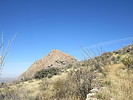 photo thumbnail #2