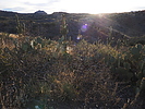 photo thumbnail #1