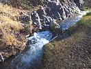photo thumbnail #7