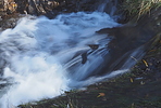 photo thumbnail #8