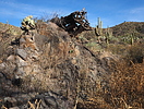 photo thumbnail #9