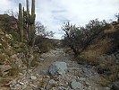 photo thumbnail #8