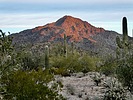 photo thumbnail #2