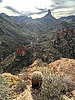 photo thumbnail #13