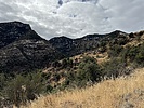 photo thumbnail #12