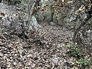 photo thumbnail #13