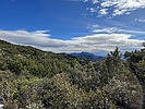 2022-01-14 :1: Powers Garden via Paddys River :: jacobemerick