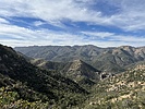 Featured Full Photo
