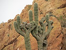 photo thumbnail #2