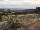 photo thumbnail #1