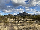 photo thumbnail #1