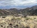 photo thumbnail #1