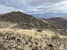 recent photo
