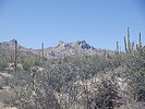 photo thumbnail #1