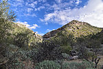 photo thumbnail #5