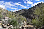 photo thumbnail #8