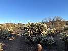photo thumbnail #2