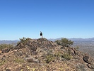 photo thumbnail #7