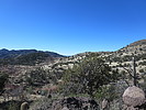 photo thumbnail #2