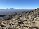 photo thumbnail #3