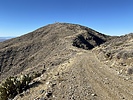photo thumbnail #7