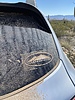 photo thumbnail #14