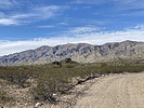 photo thumbnail #15