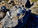 photo thumbnail #13